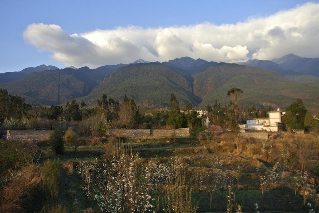 Hidden Garden Dali Bed & Breakfast Dali  Rom bilde